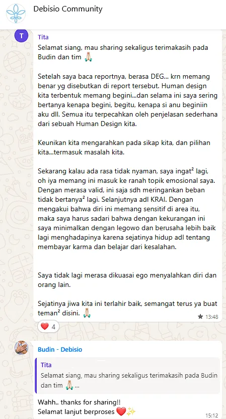 Testimoni Debisio tentang chart Human Design